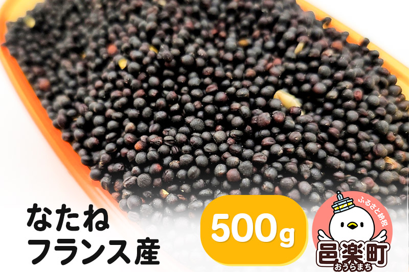 なたね フランス産 500g×1袋 サイトウ・コーポレーション 飼料