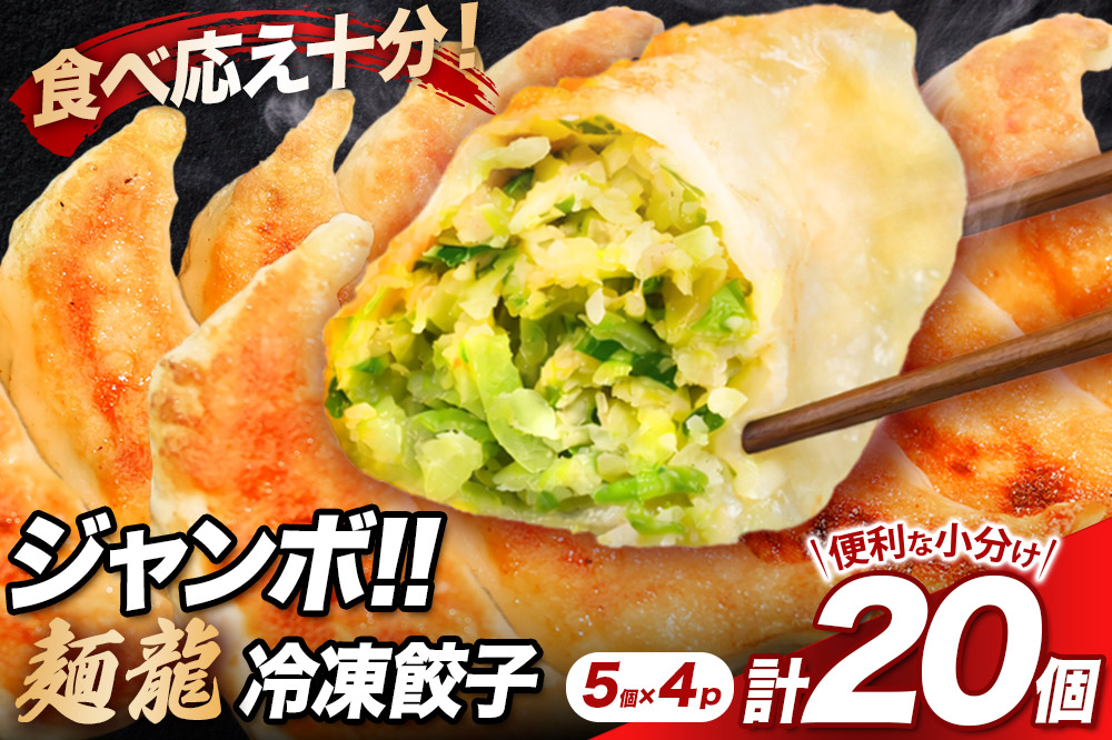 冷凍餃子4人前（計約860g）