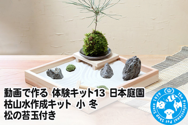 動画で作る 体験キット13 日本庭園 枯山水作成キット 小 冬 松の苔玉付き