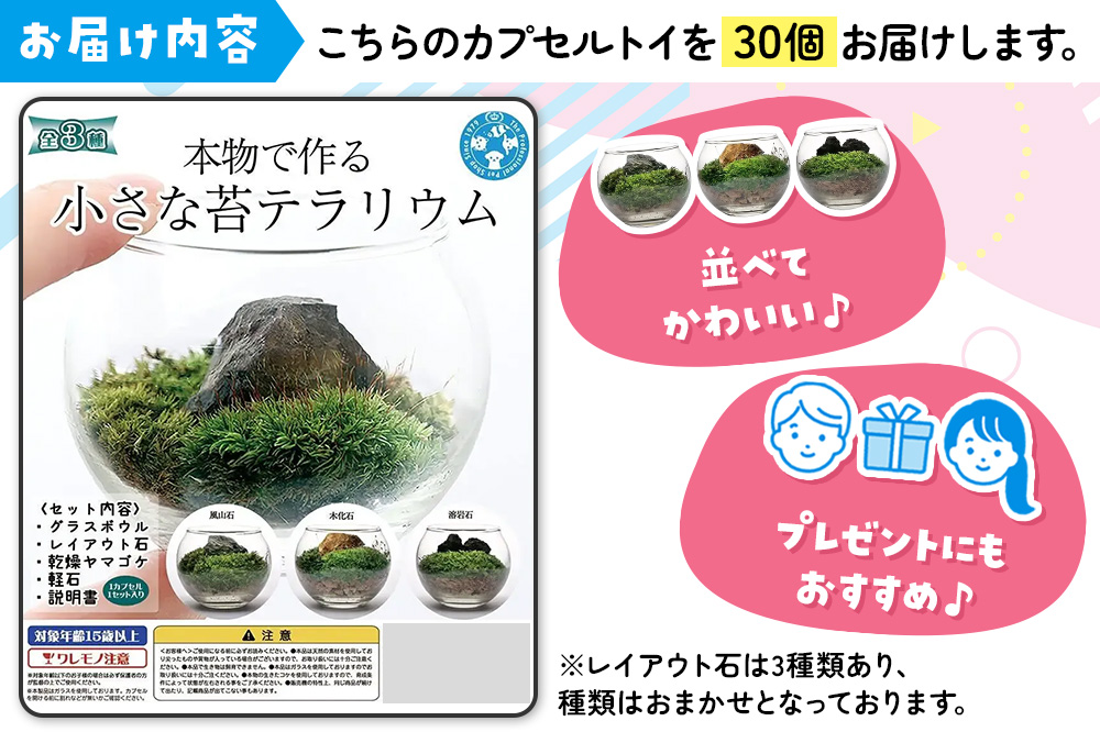 苔 種類おまかせ 本物で作る 小さな苔テラリウム カプセルトイ 30個セット 株式会社チャーム charm