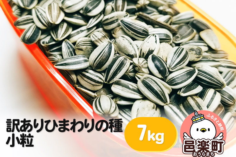 【訳あり】ひまわりの種・小粒 7kg×1箱 ※箱詰め※ サイトウ・コーポレーション 飼料