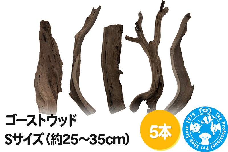 ゴーストウッド Sサイズ（約25〜35cm）5本