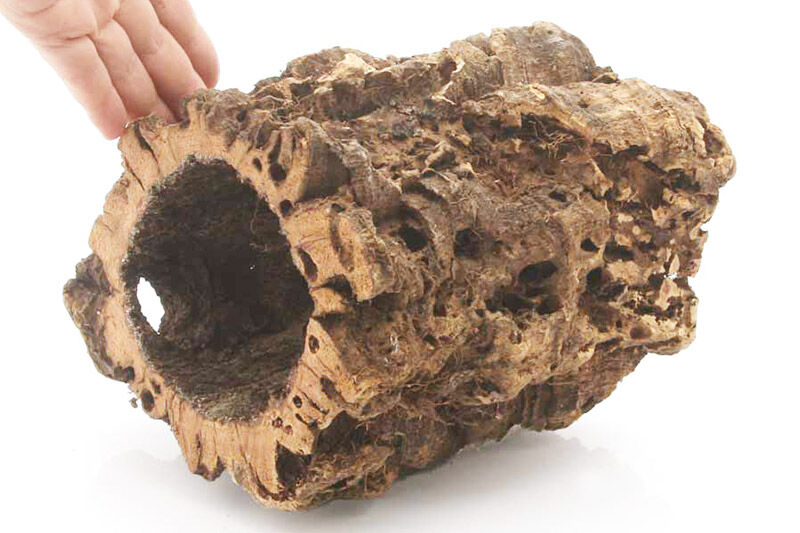 形状お任せ 筒型コルク Mサイズ 長さ15cm エアプランツ 着生植物 [株式会社チャーム charm コルク樹皮 バックパネル ビバリウム 養生植物]