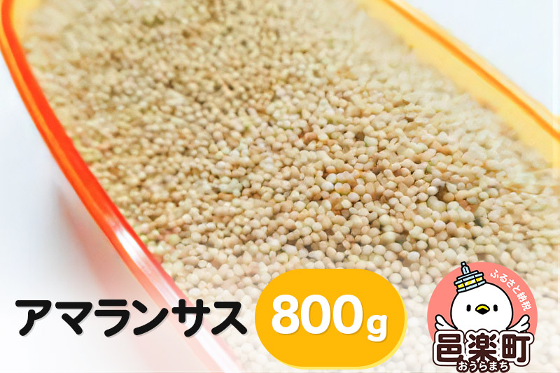 アマランサス 800g×1袋 サイトウ・コーポレーション 飼料