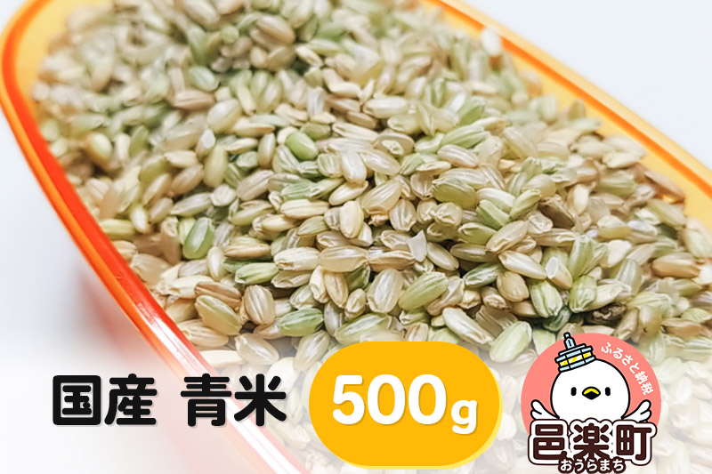 【国産】青米 500g×1袋 サイトウ・コーポレーション 飼料