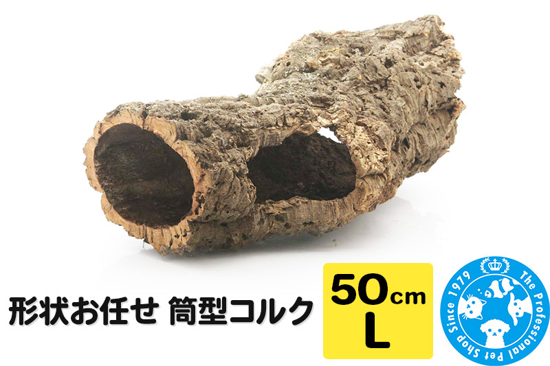 形状お任せ 筒型コルク Lサイズ 長さ50cm エアプランツ 着生植物