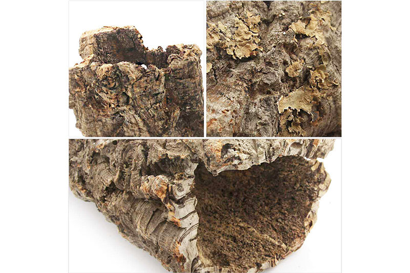 形状お任せ 筒型コルク Mサイズ 長さ15cm エアプランツ 着生植物 [株式会社チャーム charm コルク樹皮 バックパネル ビバリウム 養生植物]