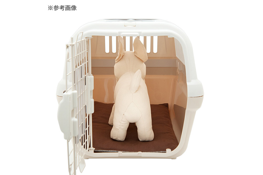 ããããã£ãªãŒçš ã¯ãã·ã§ã³ããã M ãã©ãŠã³ ãã³ãã¡ã€ã ç¬ ç«