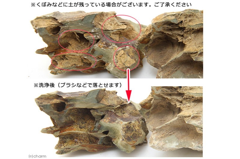 陽火石 サイズミックス（約5〜30cm）10kg