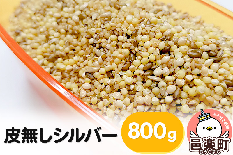 皮無しシルバー 800g×1袋 サイトウ・コーポレーション 飼料