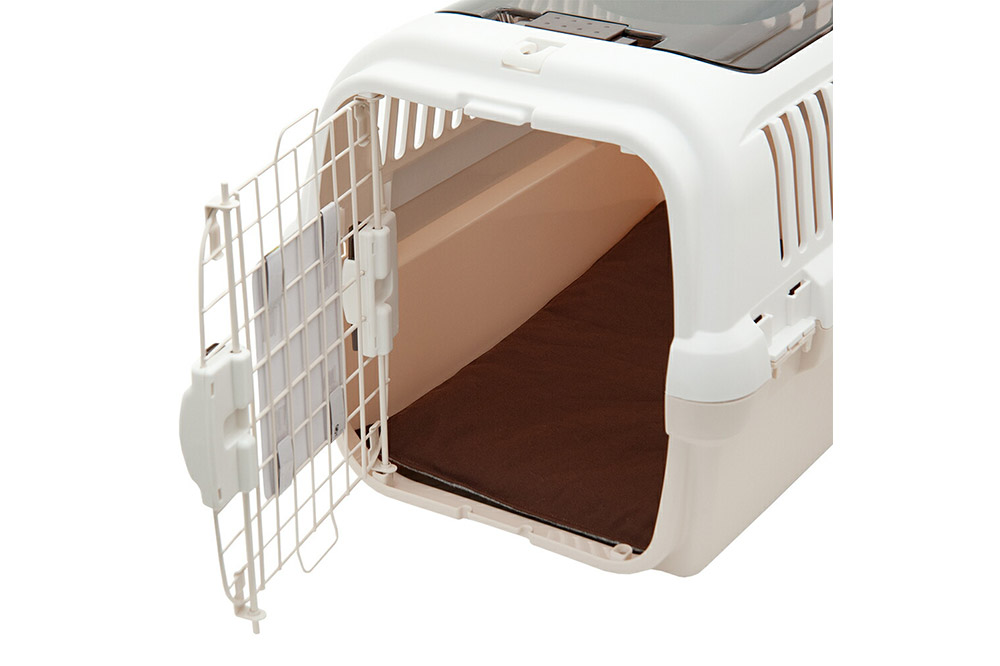 ããããã£ãªãŒçš ã¯ãã·ã§ã³ããã M ãã©ãŠã³ ãã³ãã¡ã€ã ç¬ ç«