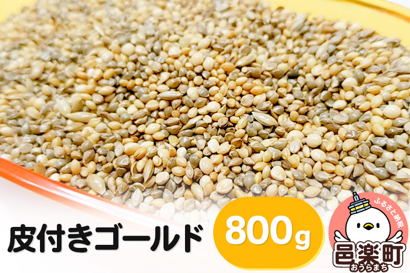 皮付きゴールド 800g×1袋 サイトウ・コーポレーション 飼料