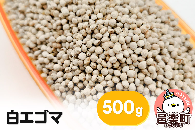 白エゴマ 500g×1袋 サイトウ・コーポレーション 飼料