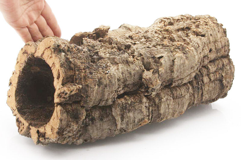 形状お任せ 筒型コルク Mサイズ 長さ30cm エアプランツ 着生植物 [株式会社チャーム charm コルク樹皮 バックパネル ビバリウム 養生植物]