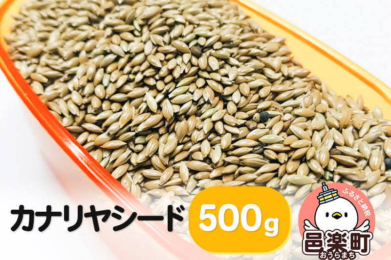 カナリヤシード 500g×1袋 サイトウ・コーポレーション 飼料