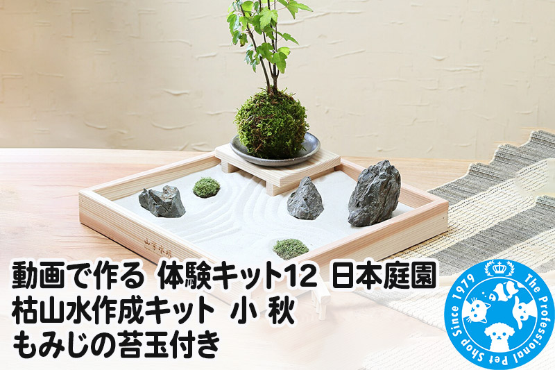 動画で作る 体験キット12 日本庭園 枯山水作成キット 小 秋 もみじの苔玉付き