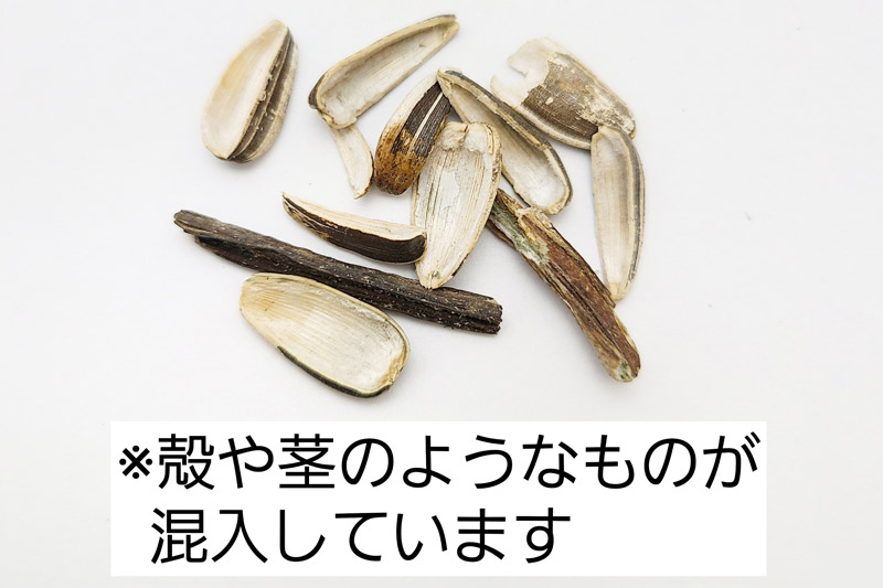 ひまわりの種・黒小粒 500g×1袋 サイトウ・コーポレーション 飼料