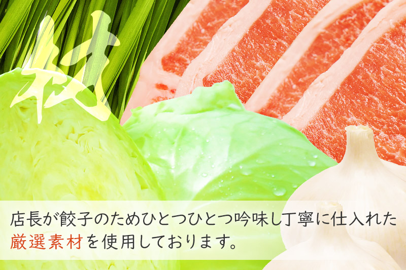 冷凍餃子4人前（計約860g）