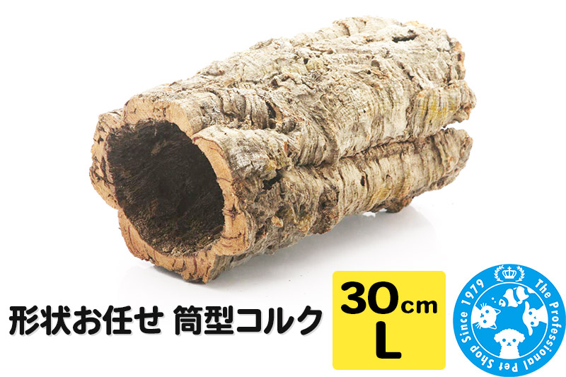 形状お任せ 筒型コルク Lサイズ 長さ30cm エアプランツ 着生植物