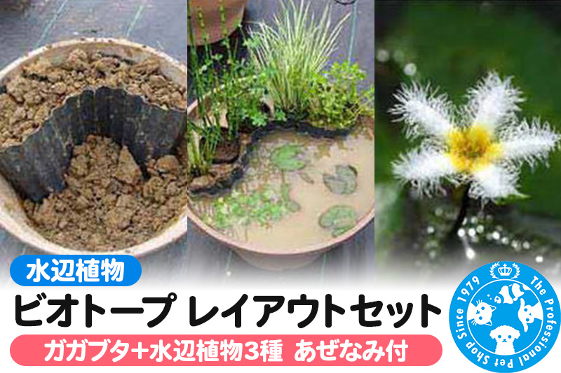 水辺植物 ビオトープレイアウトセット（ガガブタ+水辺植物3種 あぜなみ付）