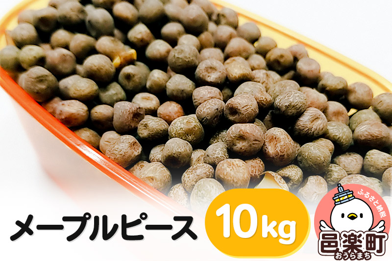 メープルピース 10kg×1袋 サイトウ・コーポレーション 飼料