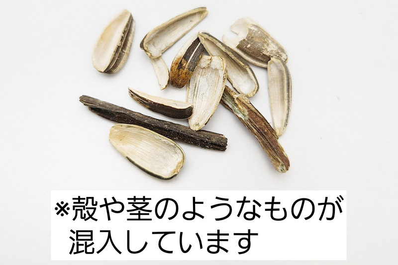 【訳あり】ひまわりの種・小粒 7kg×1箱 ※箱詰め※ サイトウ・コーポレーション 飼料