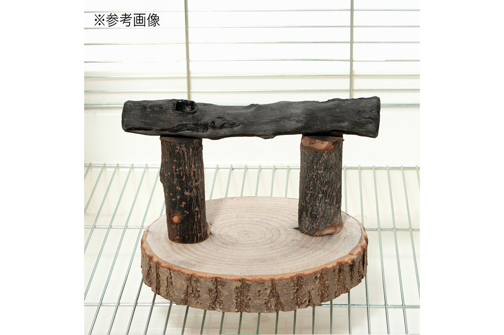 å°é³¥ã®çªãšãçš åé·çã®æ¢ãŸãæš çœ®ãå å°