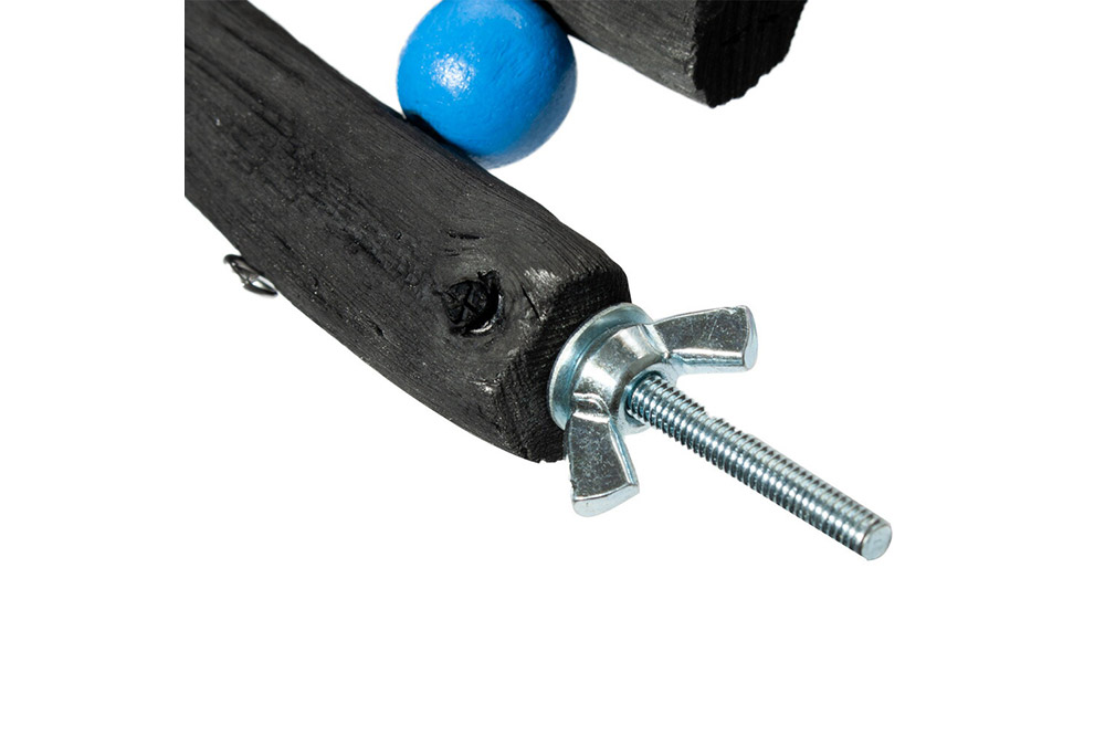 å°é³¥ã®çªãšãçš åé·ç ã¯ãã 倧