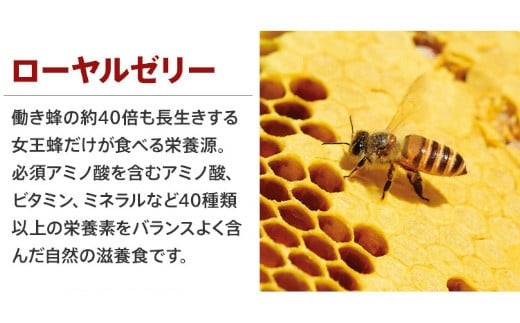 ãªããã¿ã³ã¯ãªã¢ã50mlÃ30æ¬ãã11100-0507ã