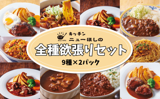 キッチンニューほしの  全種欲張りセット【9種×各2パック】　【11100-2442】