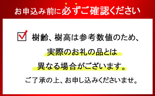 真柏盆栽（中型サイズ）　【11100-0068】