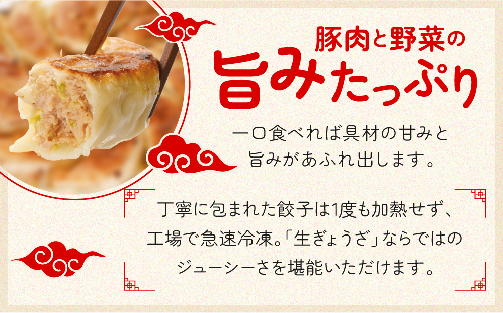 ぎょうざの満洲 冷凍生餃子10パック(120個)