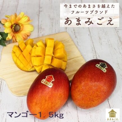 ãæ°ééå®ã»2023幎çºéãããŸã¿ãããã³ãŽãŒ1.5kgãé
éäžå¯å°åïŒé¢å³¶ãã1247331ã