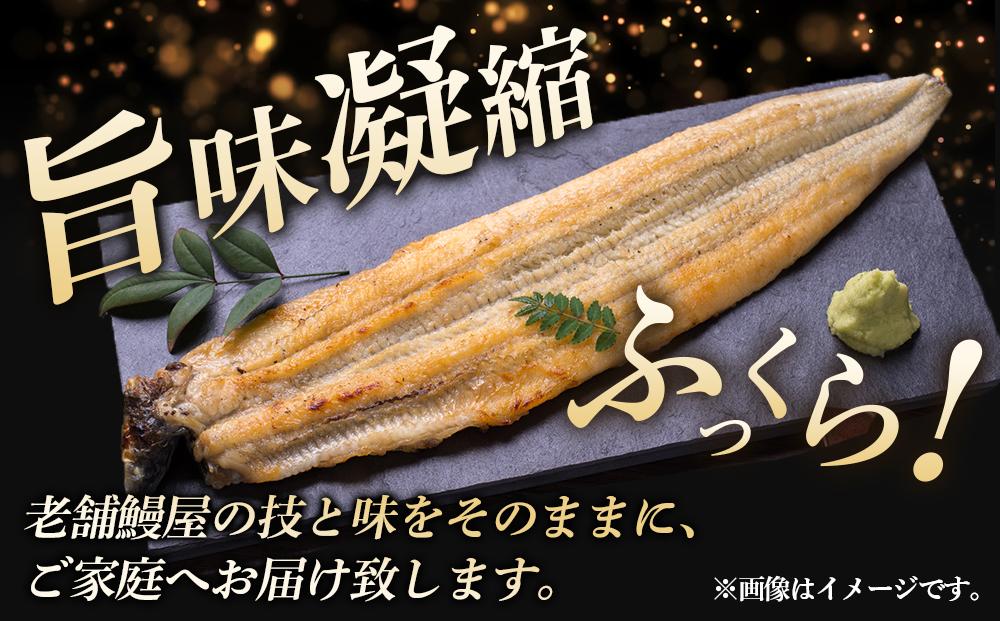 小川菊のうなぎの白焼き 2尾分 ／ 鰻 ウナギ 埼玉県