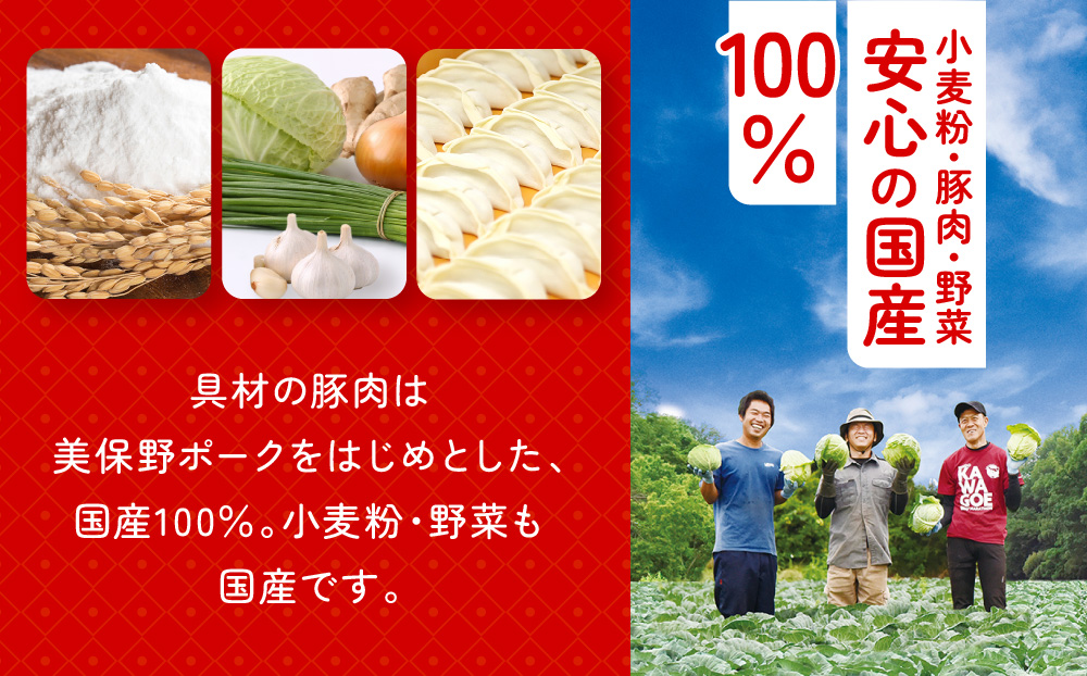 ぎょうざの満洲 冷凍生餃子10パック(120個)