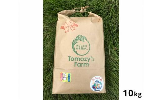 特別栽培米　川越産彩のきずな10kg ／ お米 精米 白米 埼玉県