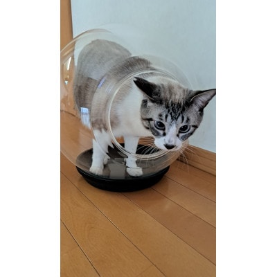 出入口ヨコ-町工場の猫好き社員が開発!犬・猫ちゃんの可愛い姿を見る為のペットの金魚鉢(アクリル樹脂)【1616504】