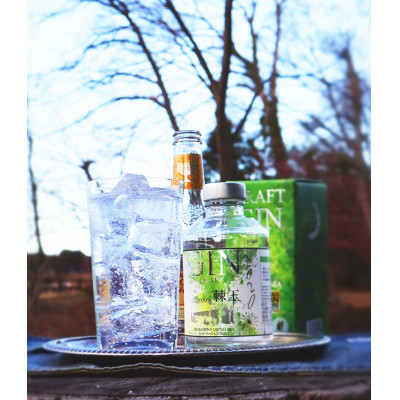 Japanese Craft GIN 棘玉 -TOGEDAMA- 200ml2本セット【1242423】