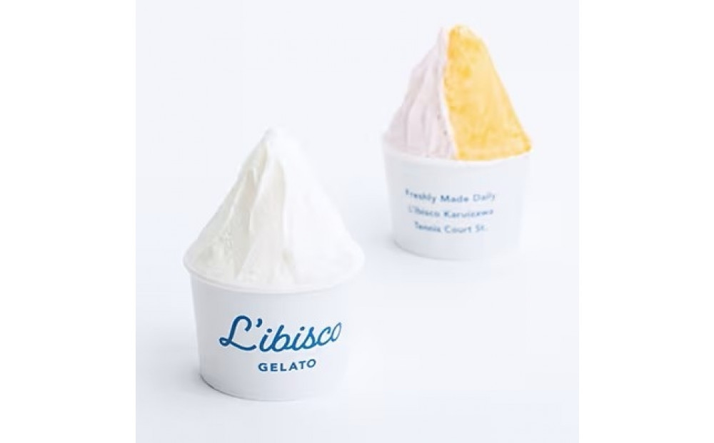 リビスコ川越店　ジェラート6個セット