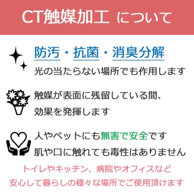 胡蝶蘭 造花 常滑産陶製鉢に入ったシルクフラワーの胡蝶蘭の鉢植 5本立 CT触媒 ホワイトオーキッド【1357830】