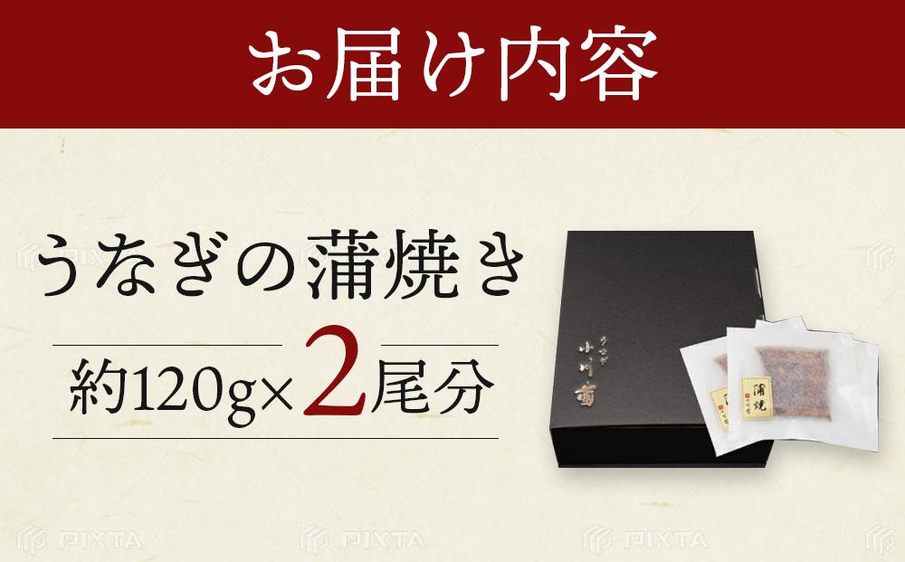 蟆丞キ晁所縺ョ縺縺ェ縺弱ョ闥イ辟シ縺 2蟆セ蛻 シ 魏サ 繧ヲ繝翫ぐ 蝓シ邇臥恁