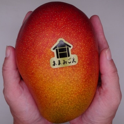 ãæ°ééå®ã»2023幎çºéãããŸã¿ãããã³ãŽãŒ1.5kgãé
éäžå¯å°åïŒé¢å³¶ãã1247331ã