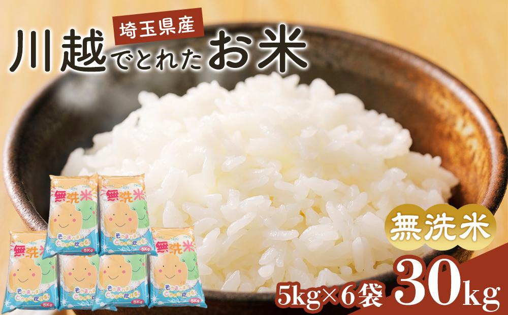 辟。豢礼アウ縲蟾晁カ翫〒縺ィ繧後◆縺顔アウ縲30kg シ 逋ス邀ウ 縺薙@縺イ縺九j 蠖ゥ縺ョ縺阪★縺ェ 蠖ゥ縺ョ縺九′繧縺 シ鍋ィョ鬘槭ヶ繝ャ繝ウ繝臥アウ縲蝓シ邇臥恁