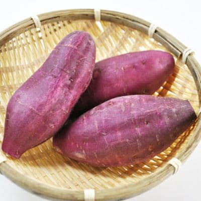 芋ようかん(ハーフサイズ) 1本【1645804】