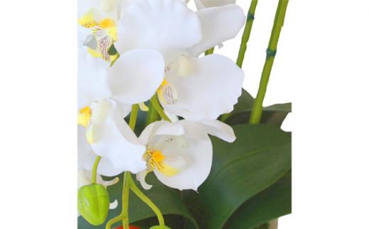 é è± ã·ã«ã¯ãã©ã¯ãŒã®è¡è¶èã®é¢æ€ 5æ¬ç« CTè§Šåª ãã¯ã€ãã€ãšããŒ ïŒ ãè± ã³ãã§ãŠã©ã³ åŒçç