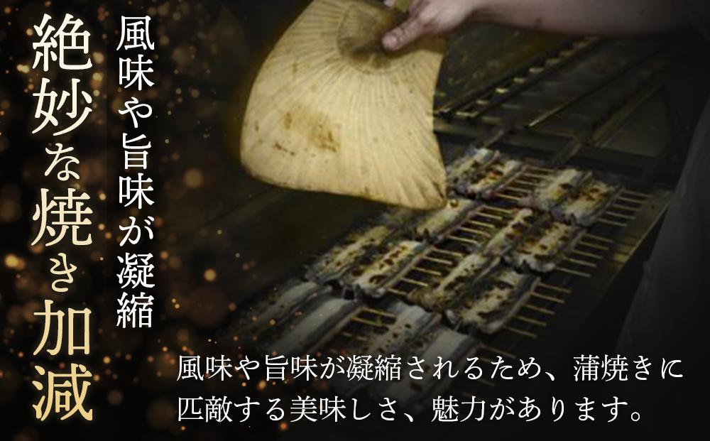 小川菊のうなぎの白焼き 4尾分 ／ 鰻 ウナギ 埼玉県