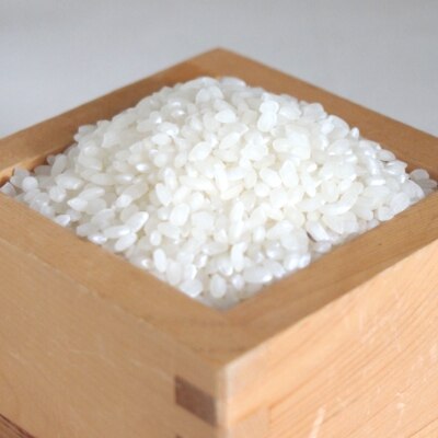 特別栽培米　ご飯と醤油セット【1248435】