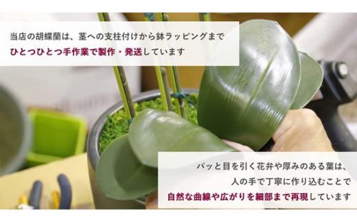 造花 シルクフラワーの胡蝶蘭の鉢植 3本立 光触媒 ホワイトオーキッド ／ お花 コチョウラン 埼玉県