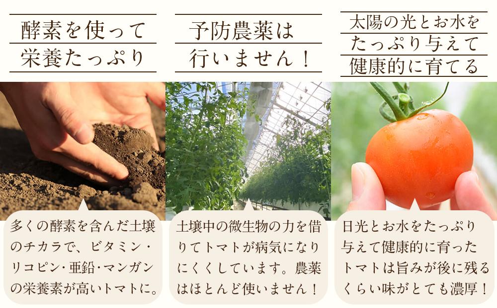 トマトジュース2本セット【プレミアムトマト、トマト】 ／ プレミアムトマトジュース とまと 野菜 埼玉県