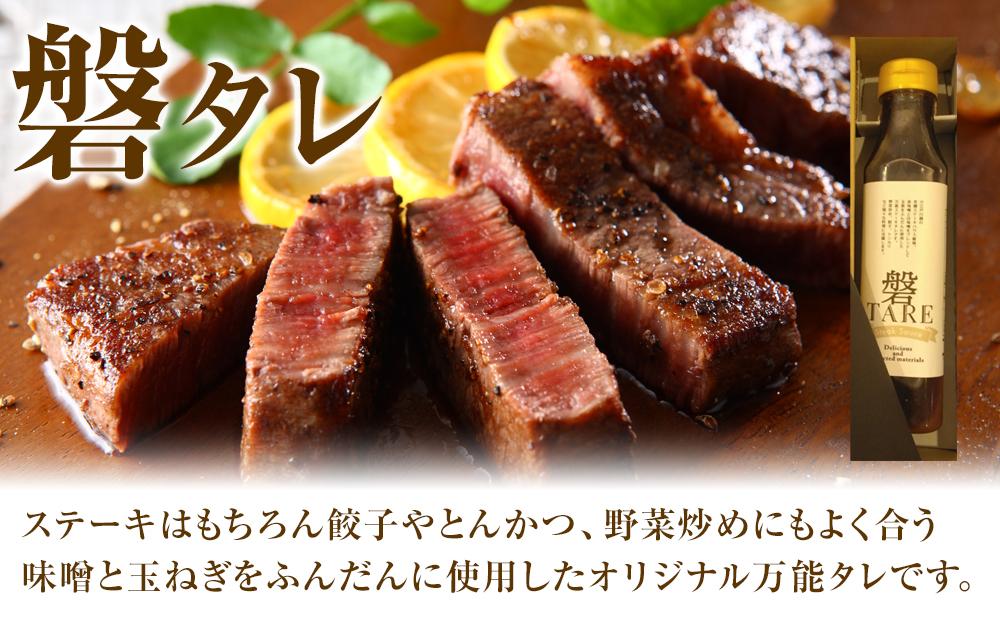 ã¹ããŒãç£æ¢¯ãªãªãžãã«ç£ã¿ã¬ãšç£ãã¬ãã¹ããŒããœãŒã¹ãšãã¬ãã·ã³ã°ã ïŒ äžèœã¿ã¬ ãªãªãžãã« å颚ãã¬ãã·ã³ã° åŒçç